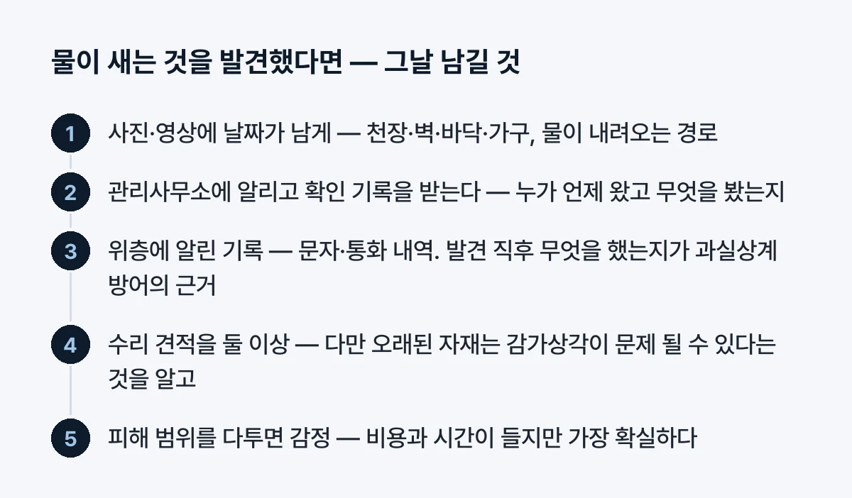 발견한 날 남길 것