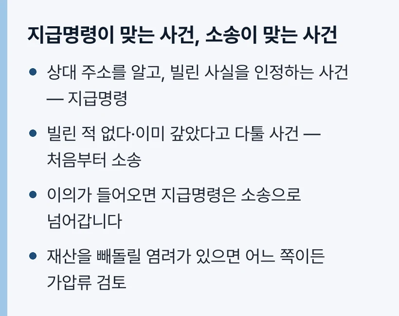지급명령이 맞는 사건, 소송이 맞는 사건